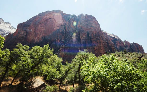 Red rock formations and green trees in Zion National Park, Utah.
