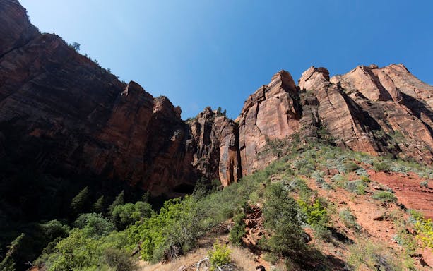 Red rock cliffs and greenery under a clear blue sky in Zion National Park.