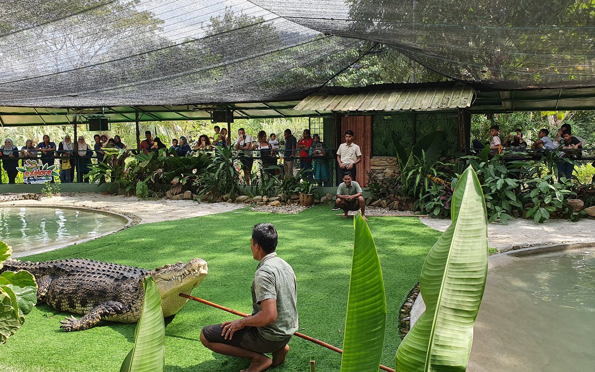 crocodile adventureland langkawi tickets-6 crocodile adventureland langkawi tickets-6