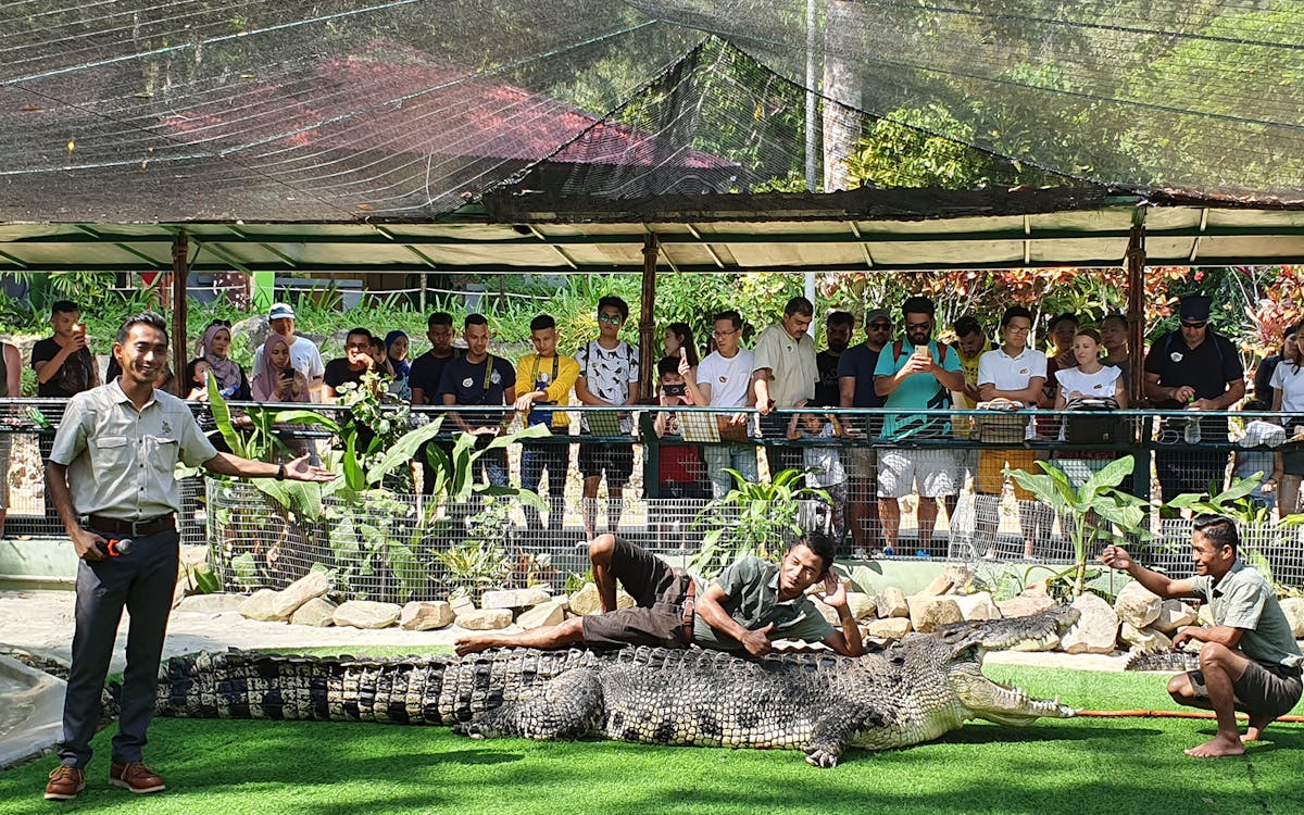 crocodile adventureland langkawi tickets-8 crocodile adventureland langkawi tickets-8