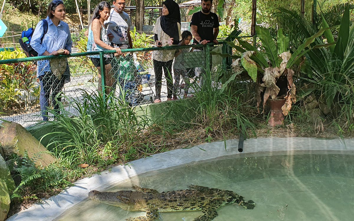 crocodile adventureland langkawi tickets-3 crocodile adventureland langkawi tickets-3