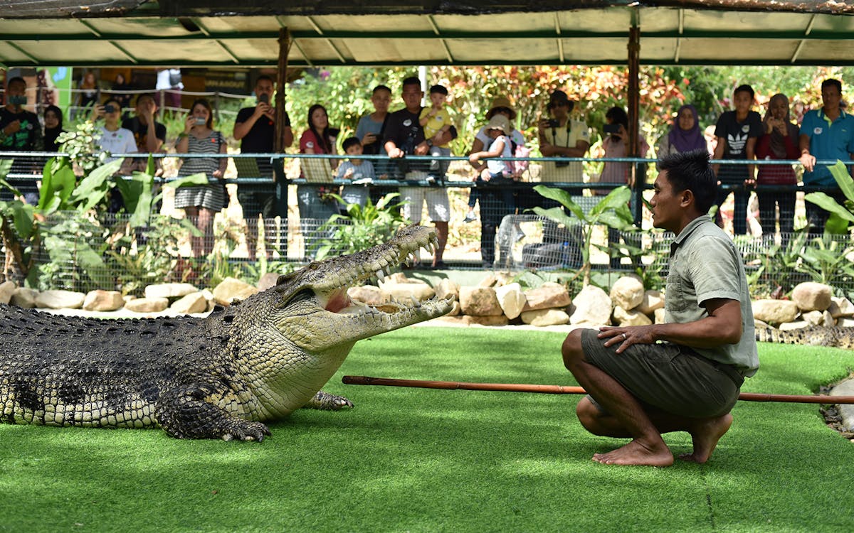 crocodile adventureland langkawi tickets-7 crocodile adventureland langkawi tickets-7