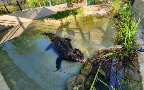 Crocodile Adventureland Langkawi Tickets