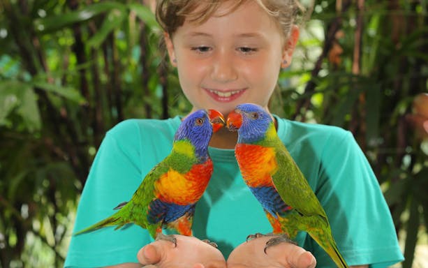 Child holding two colorful parrots at a wildlife habitat.