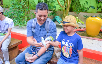 Father and son feeding birds at Langkawi Wildlife Park.