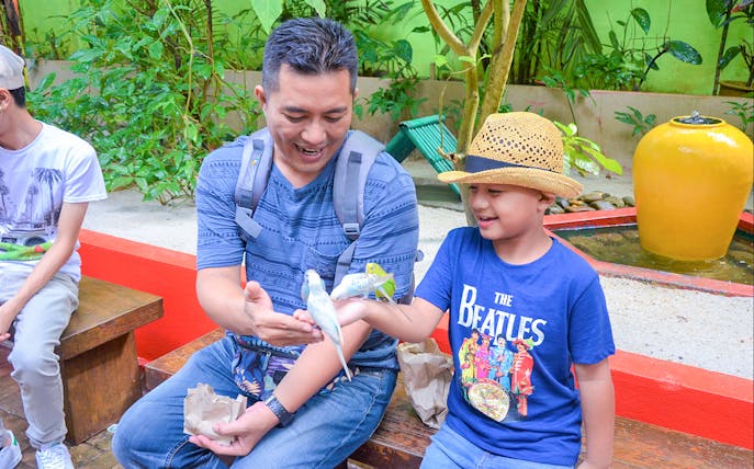 Father and son feeding birds at Langkawi Wildlife Park.