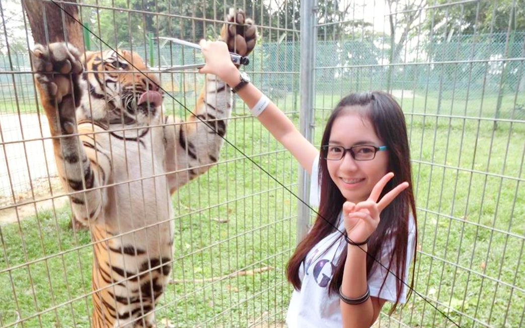 Person posing with a tiger behind a fence at A'Famosa Melaka.