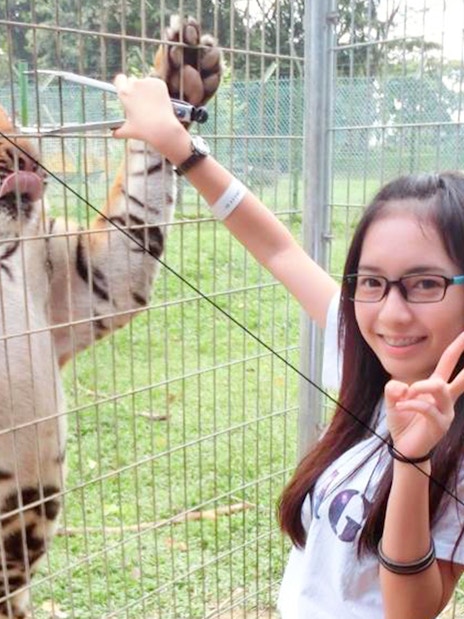 Person posing with a tiger behind a fence at A'Famosa Melaka.