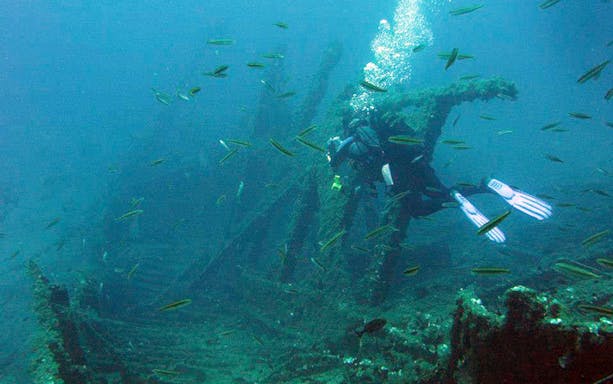 Certified diver exploring shipwreck with fish in Nea Makri, Athens.