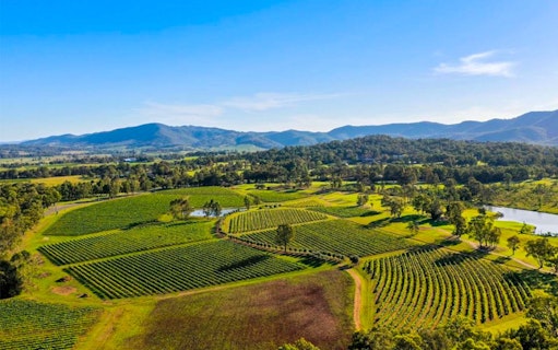 Aerial view of vineyards and rolling hills on The Brokenwood Journey.