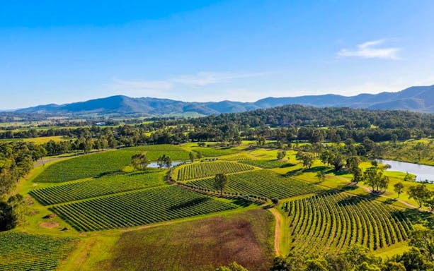 Aerial view of vineyards and rolling hills on The Brokenwood Journey.