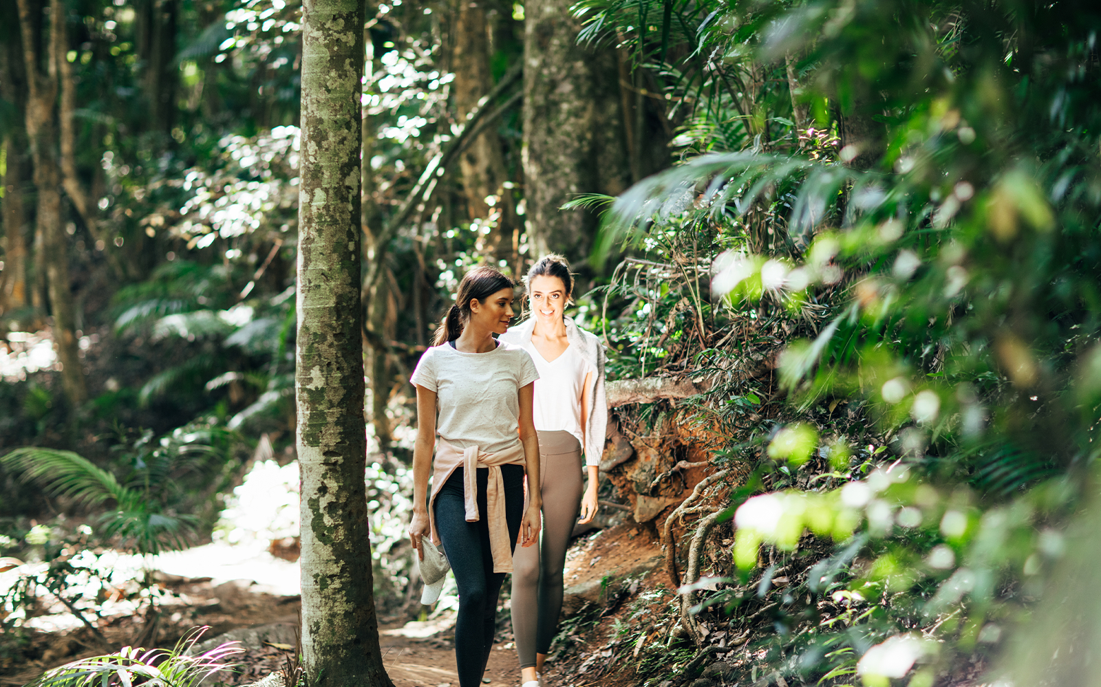 The Tastes of Tamborine Mountain