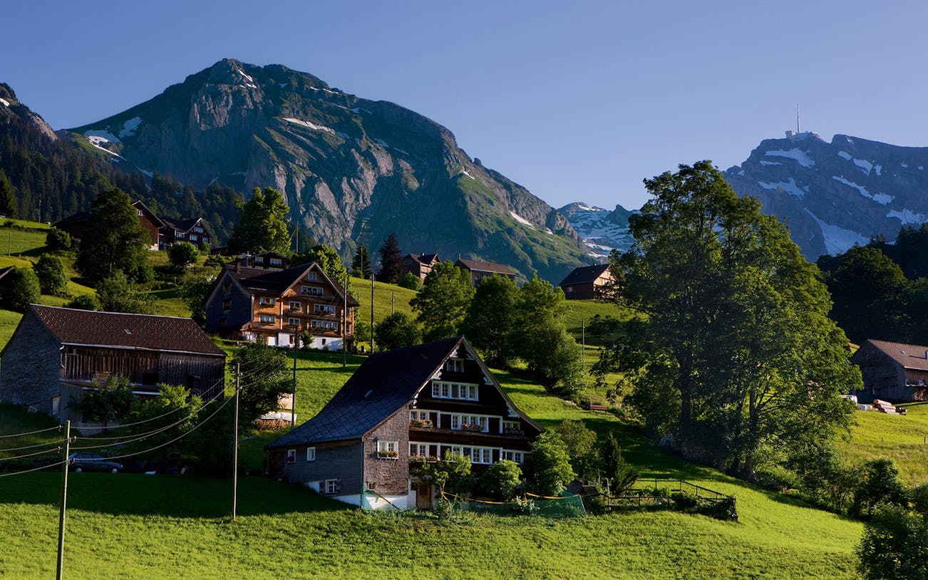 Chalets in lush green Heidiland valley with mountain backdrop, Switzerland.