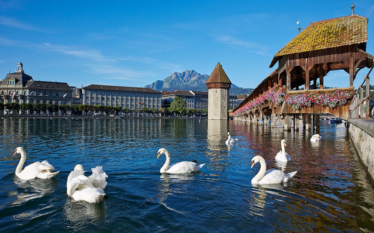 excursion d'une journée au mont titlis et glacier paradise de zurich/lucerne avec visite en option de lucerne-10 excursion d'une journée au mont titlis et glacier paradise de zurich/lucerne avec visite en option de lucerne-10