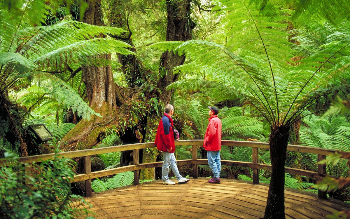 full-day great ocean road guided tour from melbourne-6 full-day great ocean road guided tour from melbourne-6
