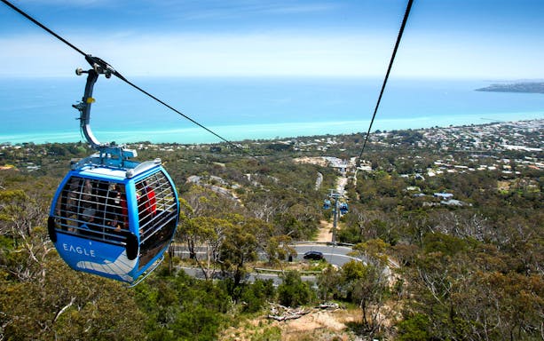 Aerial view of cable car over forested area near Peninsula Hot Springs, with ocean in the background.