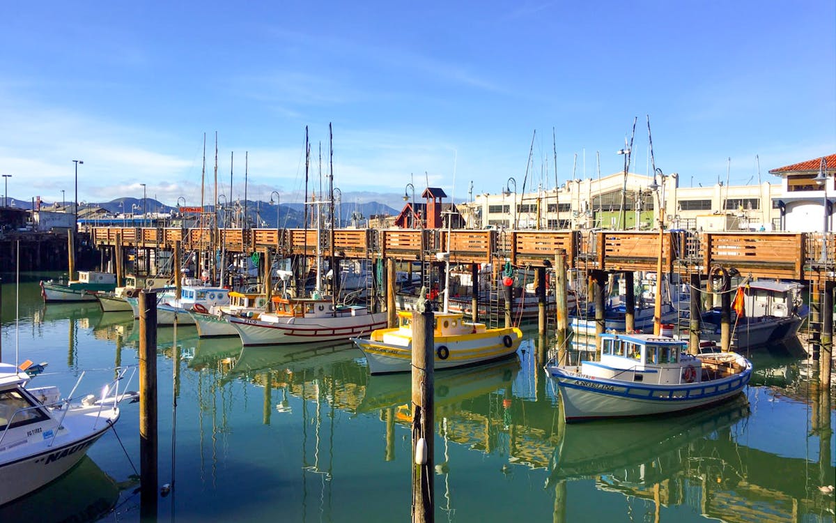 san francisco - guided walking tour with bay cruise & cable car ride-2 san francisco - guided walking tour with bay cruise & cable car ride-2