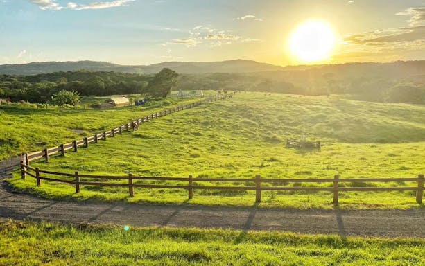 Sunset over KUR-Cow Farm with green pastures and distant hills.