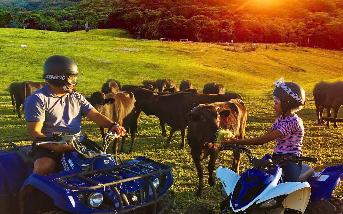 kur-cow barnwell farm entry with optional atv & horse riding-10 kur-cow barnwell farm entry with optional atv & horse riding-10