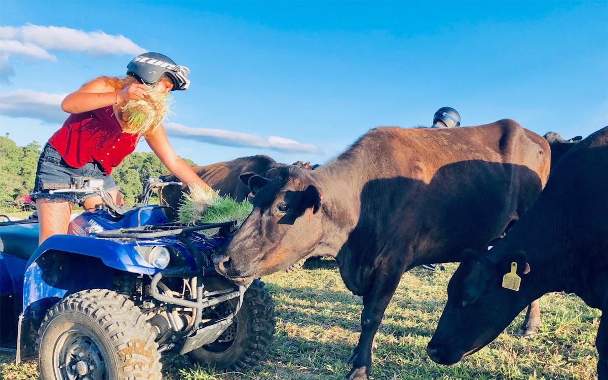 kur-cow barnwell farm entry with optional atv & horse riding-13 kur-cow barnwell farm entry with optional atv & horse riding-13