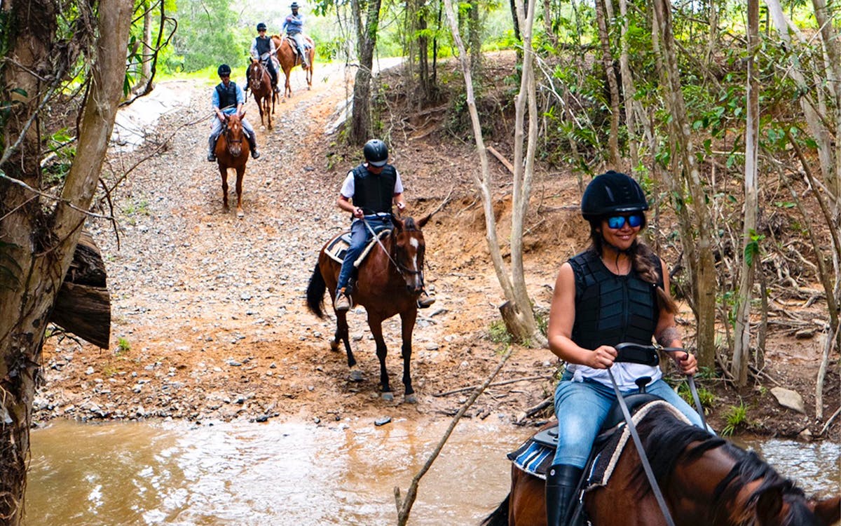 kur-cow barnwell farm entry with optional atv & horse riding-6 kur-cow barnwell farm entry with optional atv & horse riding-6