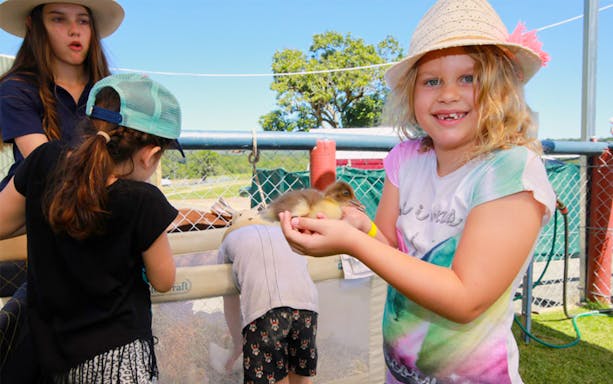 Children interacting with ducklings at KUR-Cow Farm, Queensland.