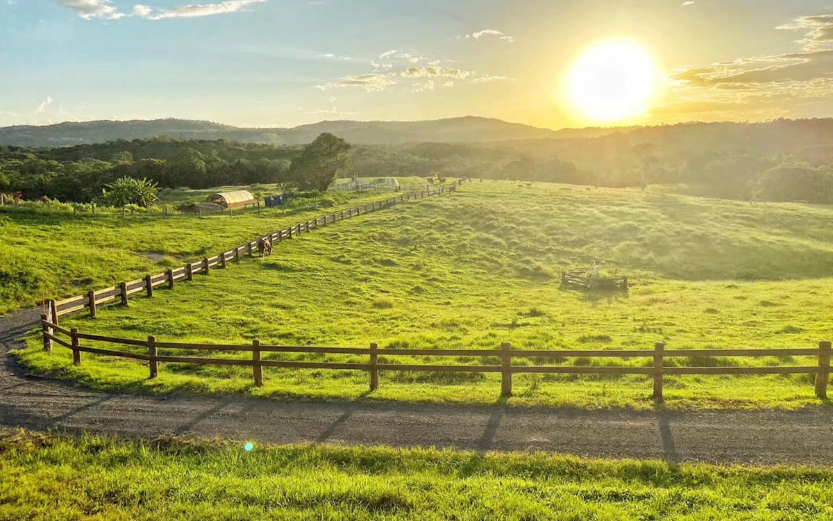 kur-cow barnwell farm sunset atv & wagyu bbq dinner-14 kur-cow barnwell farm sunset atv & wagyu bbq dinner-14