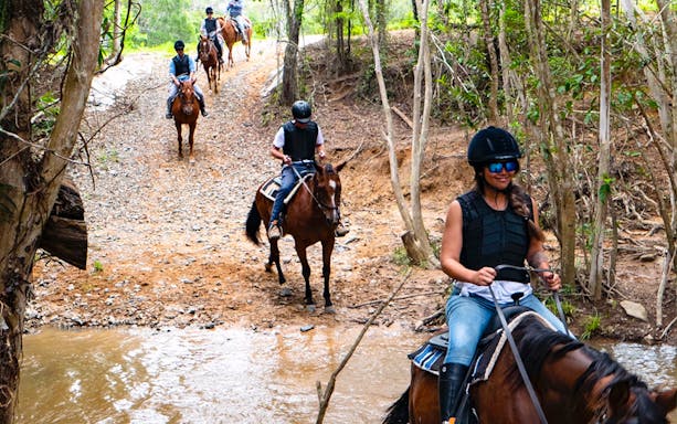 Horseback riders crossing a creek in Kuranda forest during ATV mustering tour.