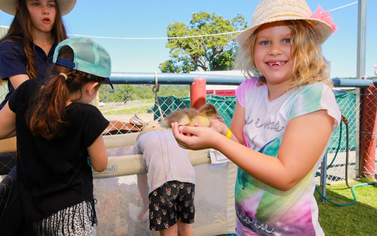 kur-cow barnwell farm sunset atv & wagyu bbq dinner-12 kur-cow barnwell farm sunset atv & wagyu bbq dinner-12