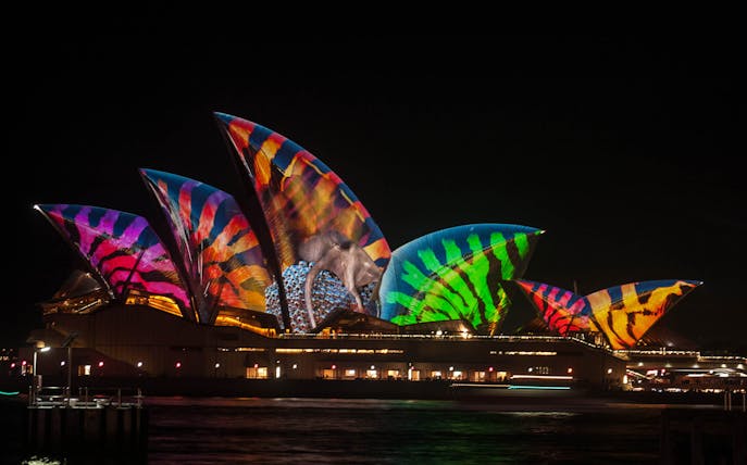 Sydney Opera House illuminated with colorful patterns during Vivid 2022 Cruise.