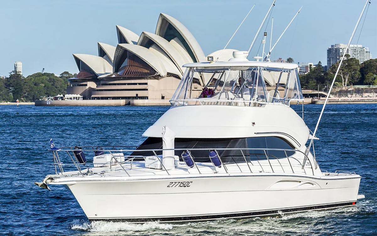 luxury whale watching experience-2 luxury whale watching experience-2