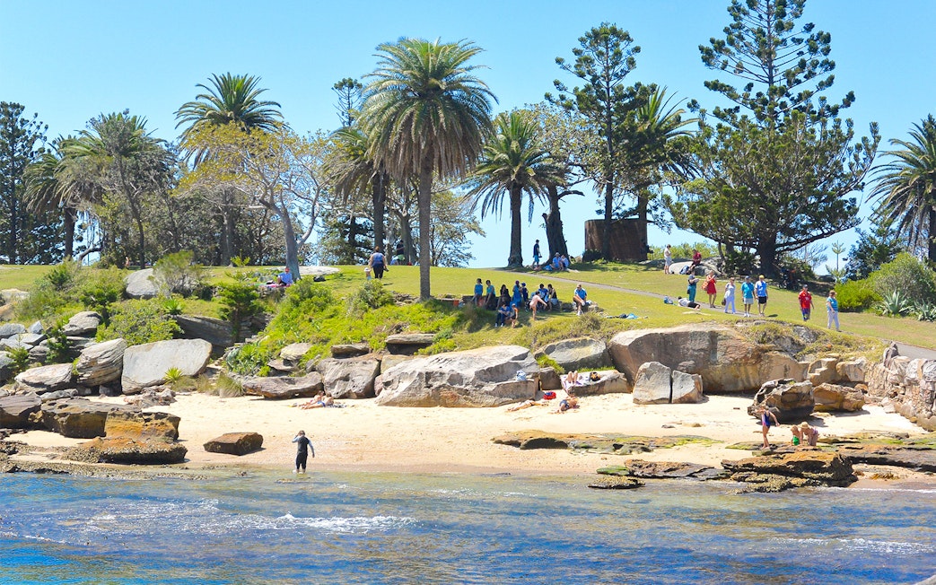 Sydney Harbour cruise visitors relaxing on a grassy hill and sandy beach with palm trees.