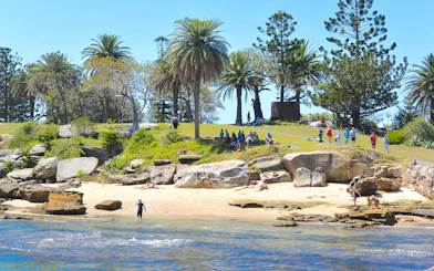Sydney Harbour cruise visitors relaxing on a grassy hill and sandy beach with palm trees.