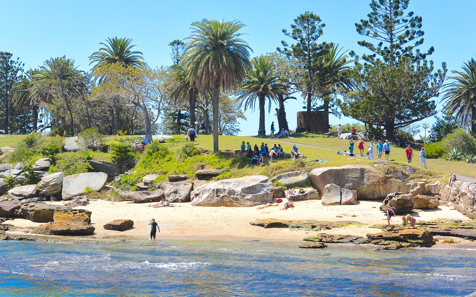 Sydney Harbour cruise visitors relaxing on a grassy hill and sandy beach with palm trees.