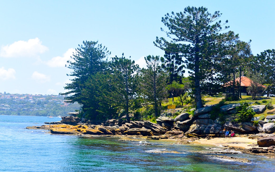 Sydney Harbour coastline with trees and rocky shore, seen from a sightseeing cruise.