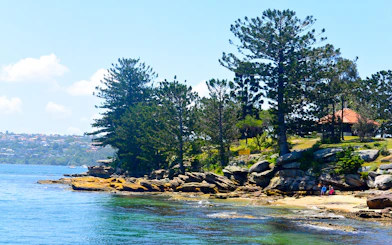 Sydney Harbour coastline with trees and rocky shore, seen from a sightseeing cruise.