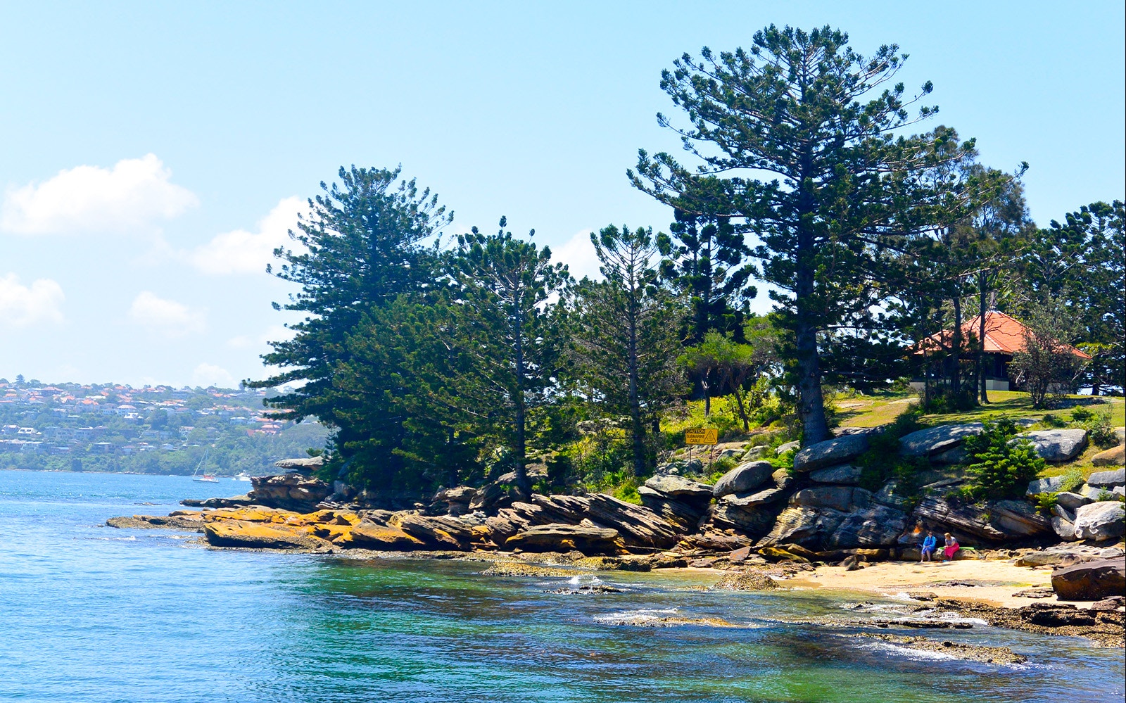 Sydney Harbour coastline with trees and rocky shore, seen from a sightseeing cruise.