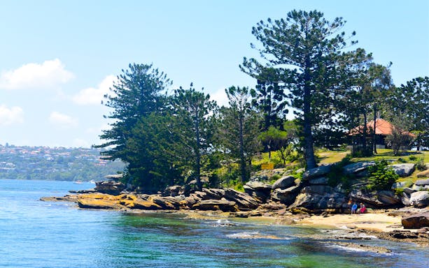 Sydney Harbour coastline with trees and rocky shore, seen from a sightseeing cruise.
