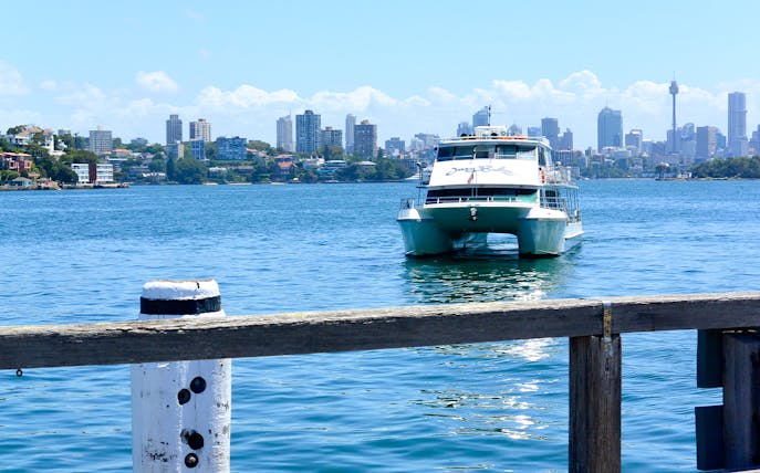 Catamaran on Sydney Harbour with city skyline in background.