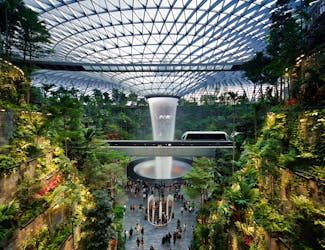 Jewel Changi Attarctions- Shiseido Forest Valley