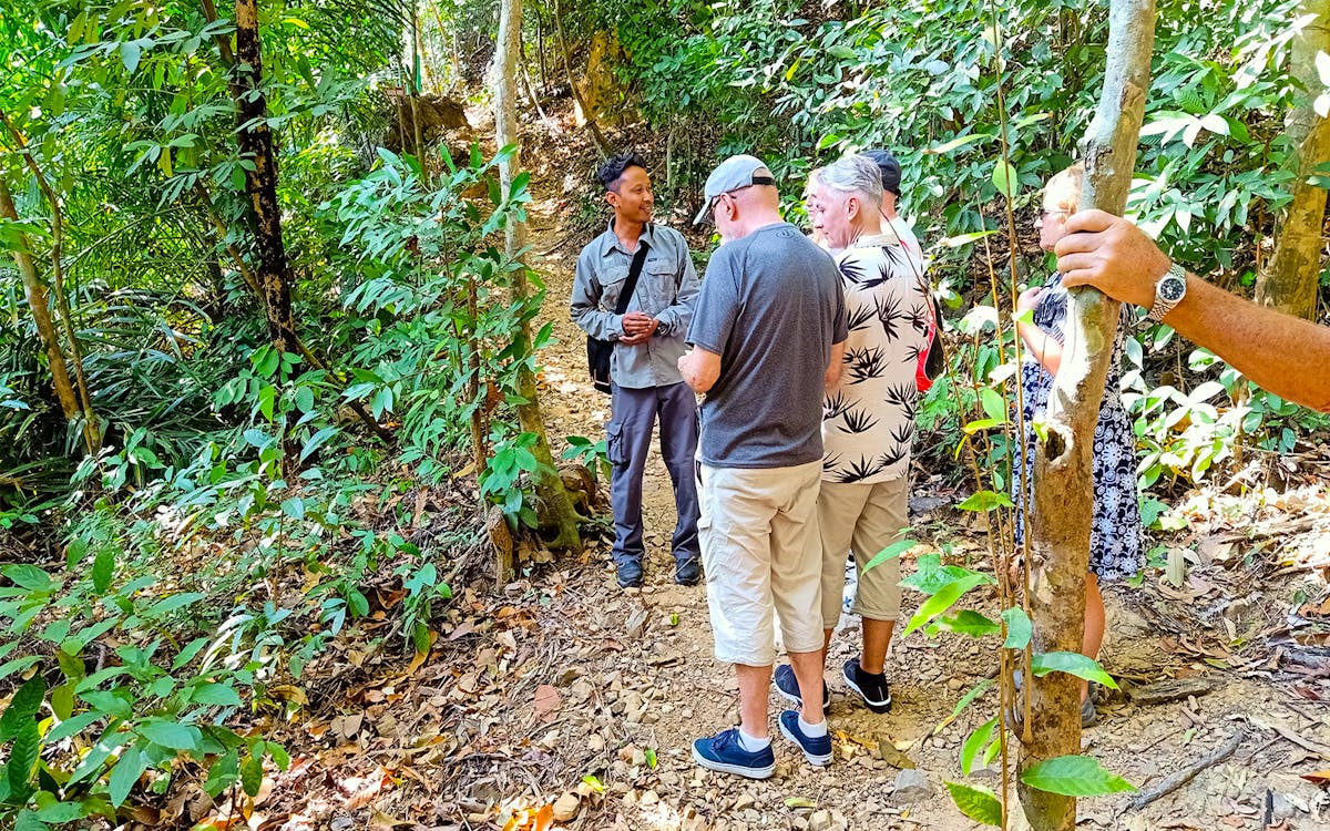 langkawi rainforest jungle trekking-6 langkawi rainforest jungle trekking-6