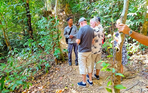 Group of tourists with a guide on a jungle trail during Langkawi rainforest trekking.