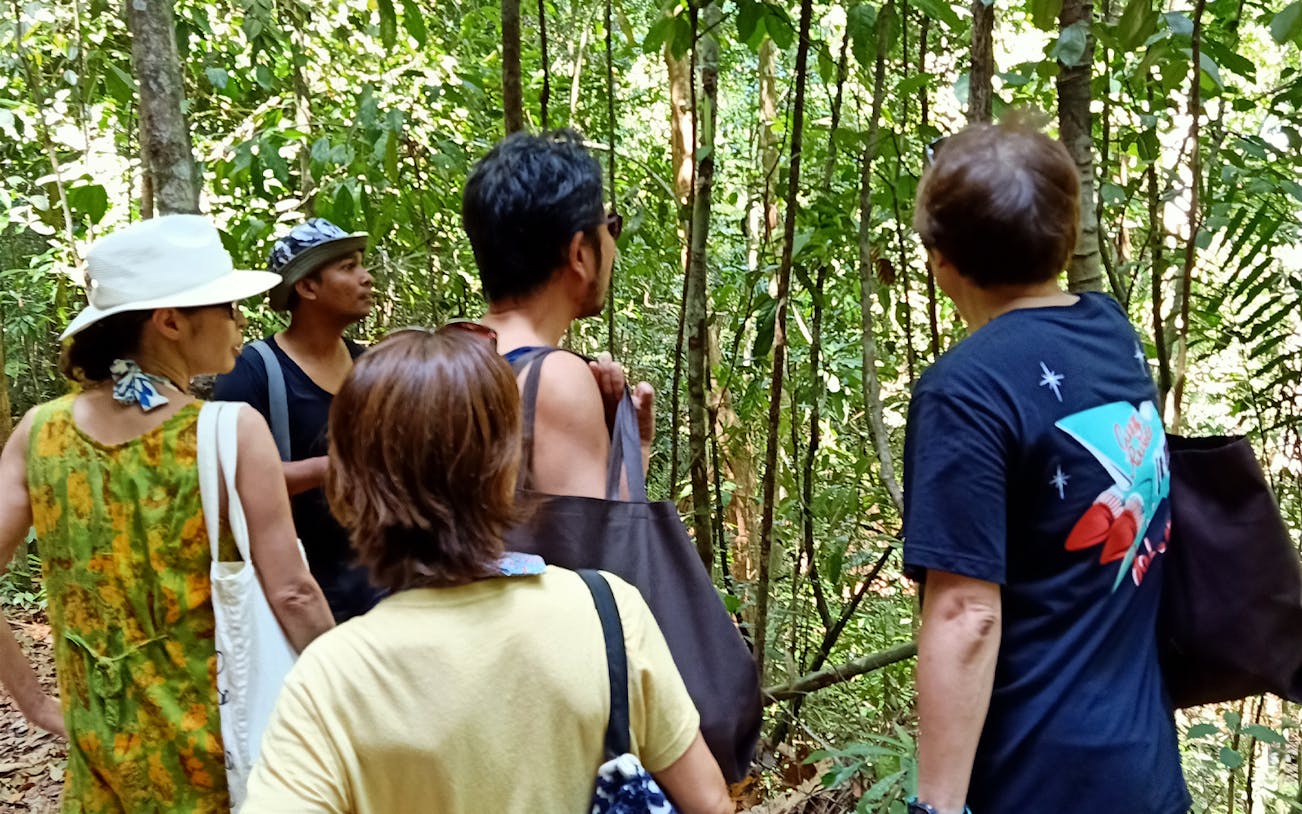 Group trekking through Langkawi rainforest jungle.