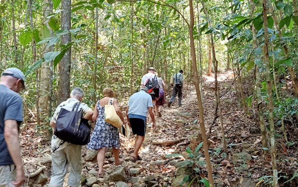 Group trekking through Langkawi rainforest jungle trail.