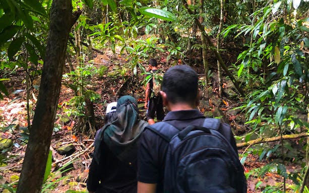 Group trekking through Langkawi rainforest jungle trail.