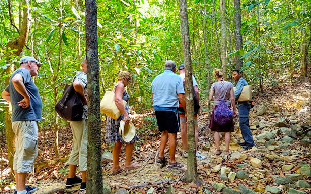 Group trekking through Langkawi rainforest jungle trail.