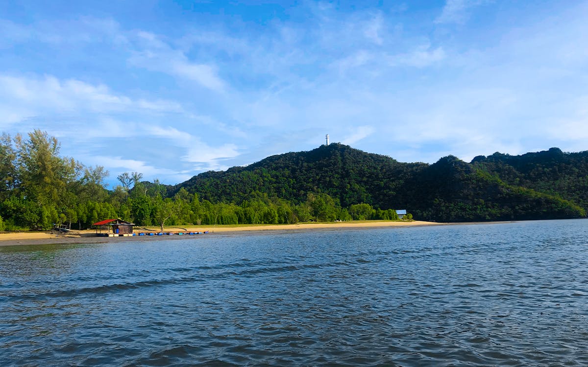 langkawi unesco geopark mangrove discovery tour by cruise-11 langkawi unesco geopark mangrove discovery tour by cruise-11