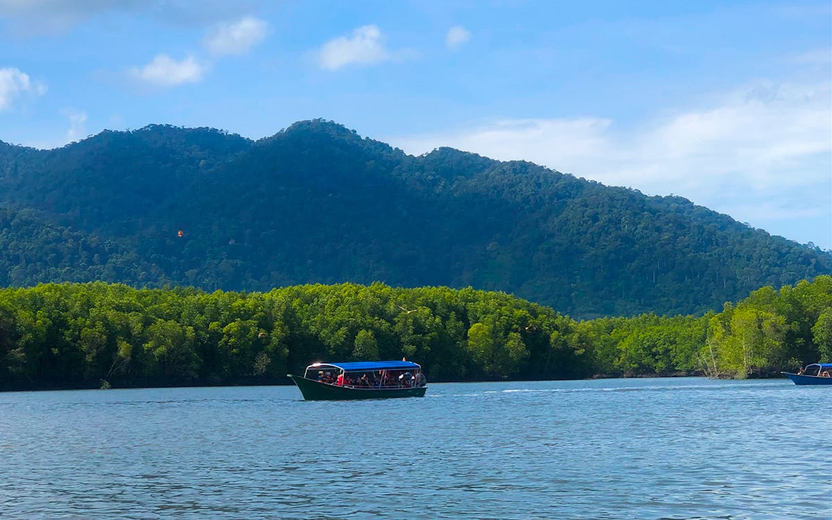 langkawi unesco geopark mangrove discovery tour by cruise-7 langkawi unesco geopark mangrove discovery tour by cruise-7