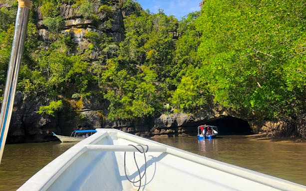 Boat entering mangrove cave in Langkawi UNESCO Geopark during discovery tour.