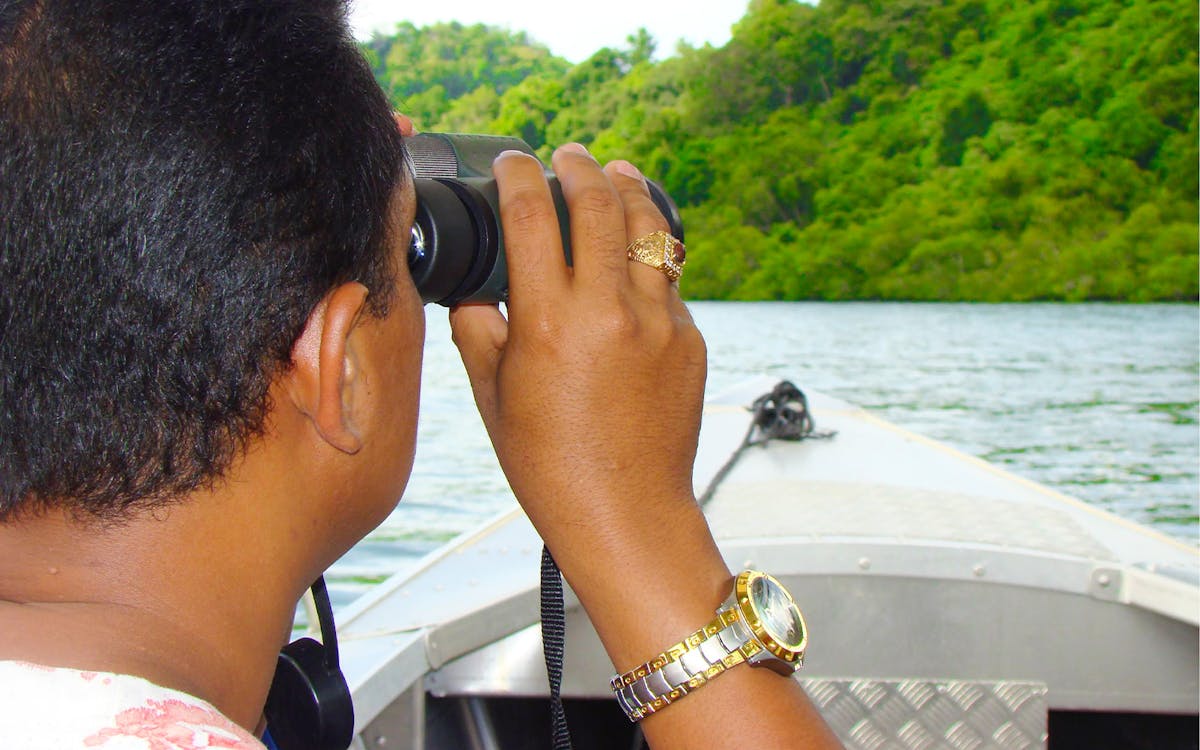 langkawi mangrove discovery adventure tour by cruise-16 langkawi mangrove discovery adventure tour by cruise-16